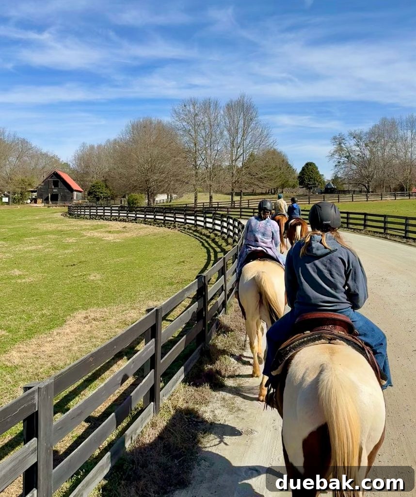 A Weekend Getaway in Serenbe, Georgia: What to See and Do 8 Family Horseback Riding In Serenbe Georgia