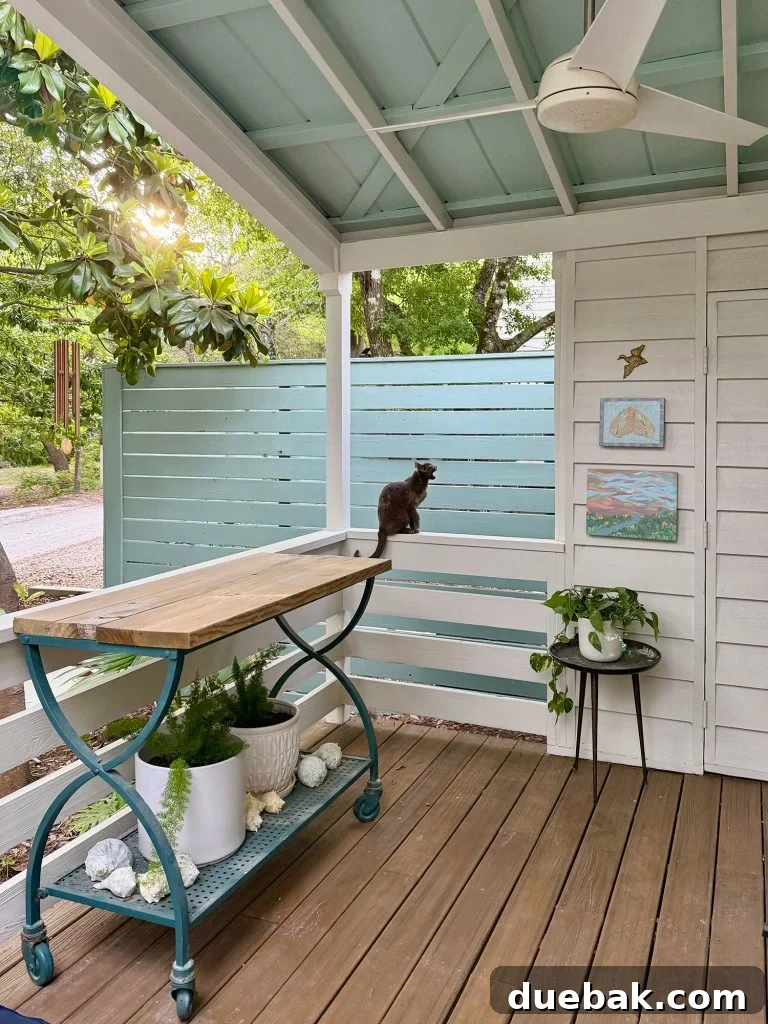 How I Reduced My Cat Allergies: Proven Strategies That Worked 5 Cat Sitting On Railing Of Front Porch
