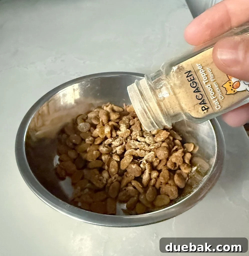 How I Reduced My Cat Allergies: Proven Strategies That Worked 6 Shaking Pacagen Cat Food Topper on Dry Cat Food