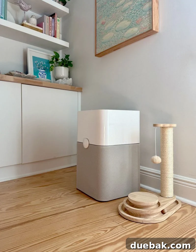 How I Reduced My Cat Allergies: Proven Strategies That Worked 8 BlueAir Air Purifier On Floor Next to Cat Scratching Post