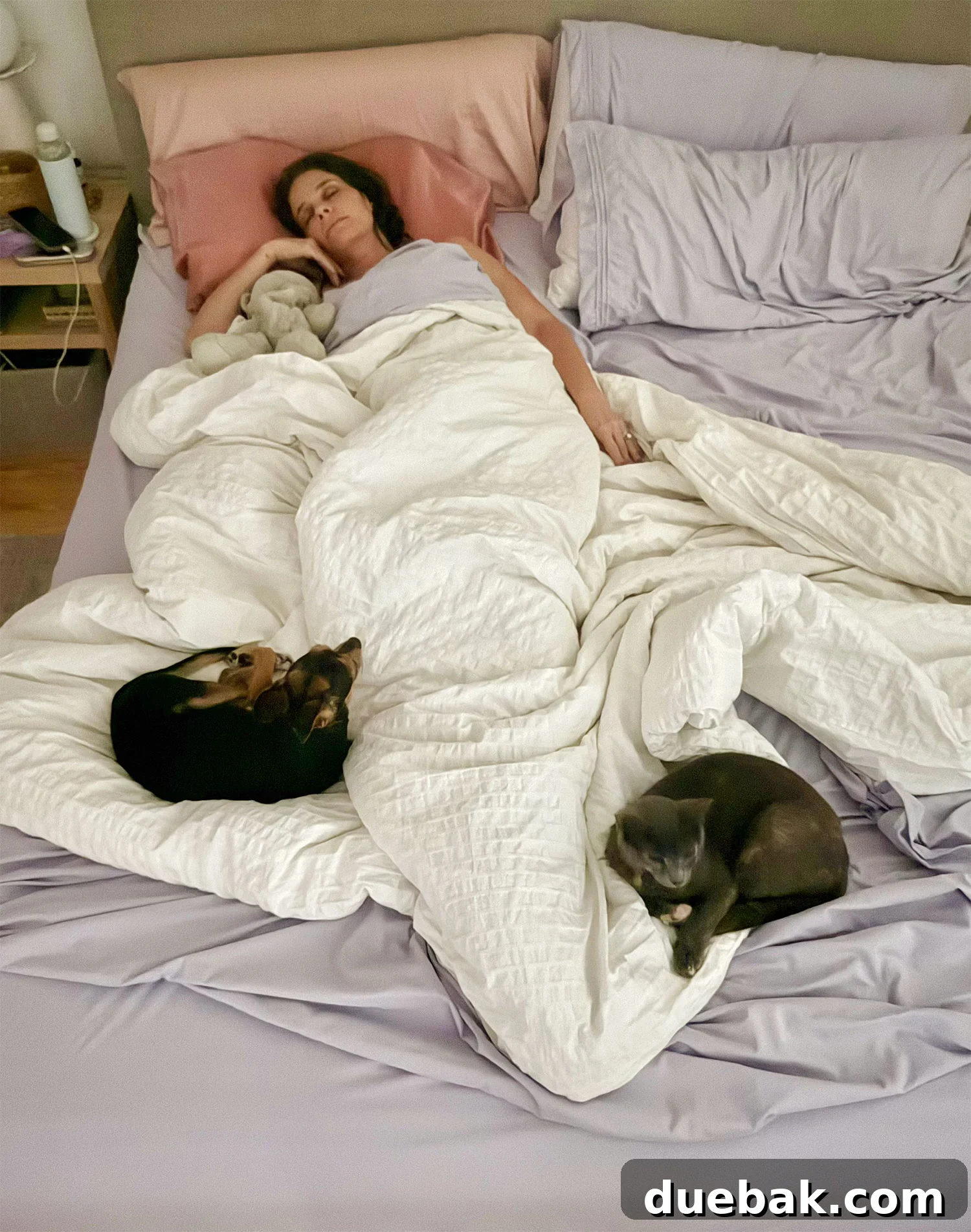 How I Reduced My Cat Allergies: Proven Strategies That Worked 10 Sherry Sleeping In Bed With Dog and Cat At Her Feet