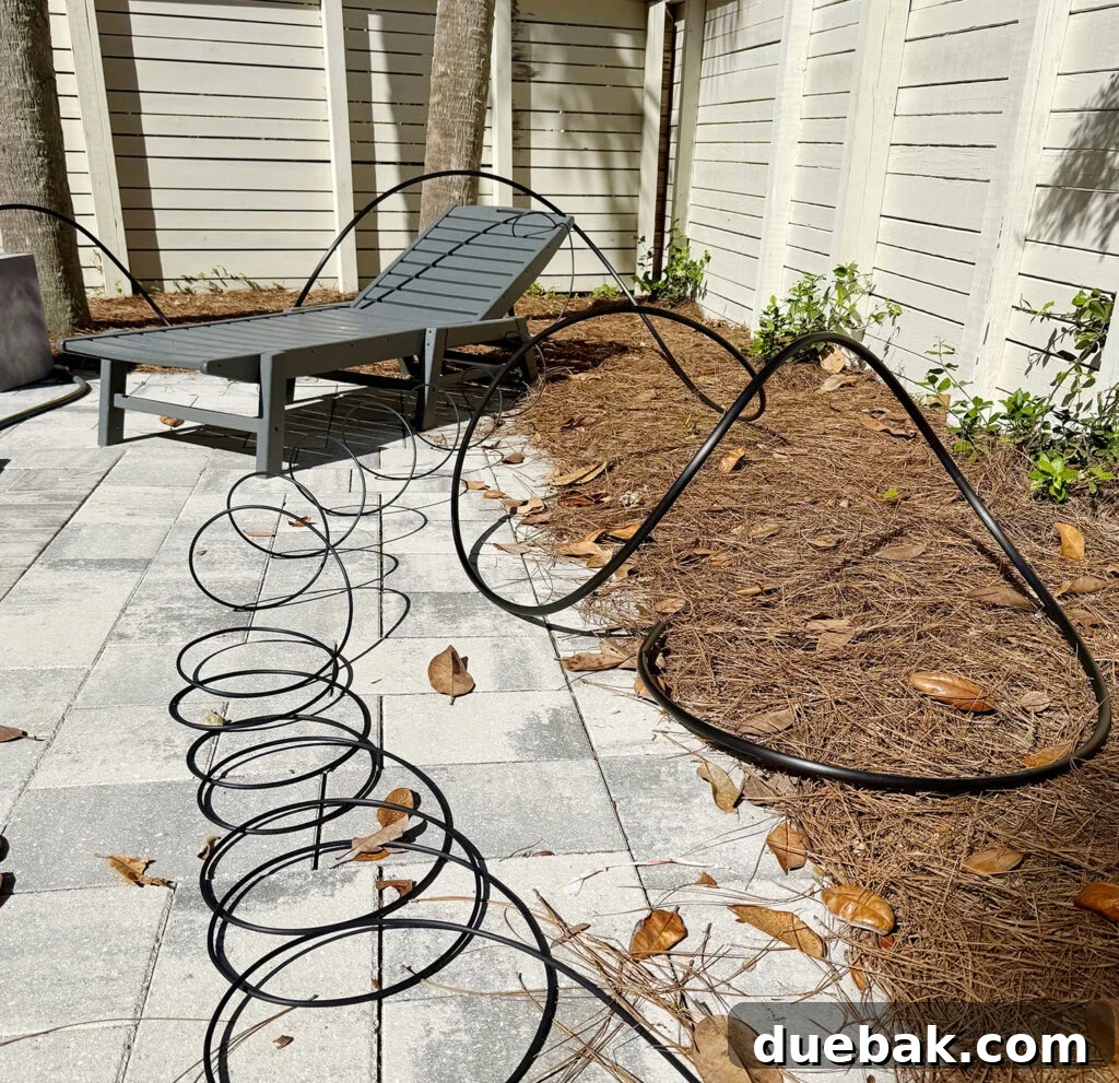 Irrigation Tubing Spread Out In the Sun