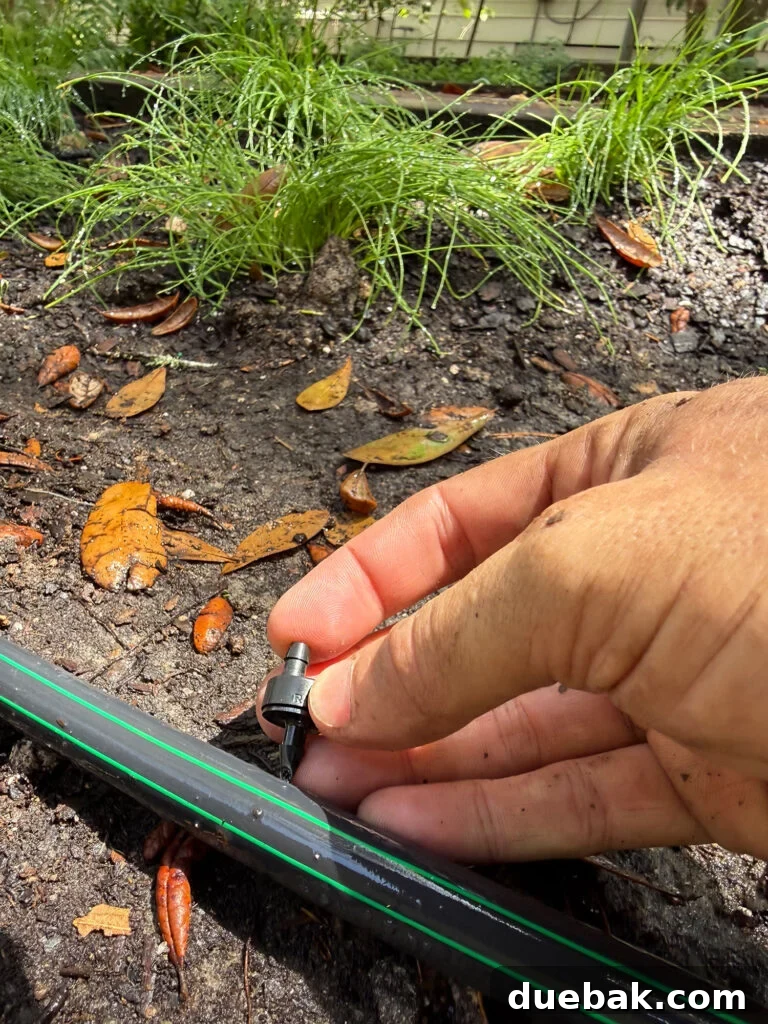 Poking Dripper Emitter Into Drip Irrigation System Tube