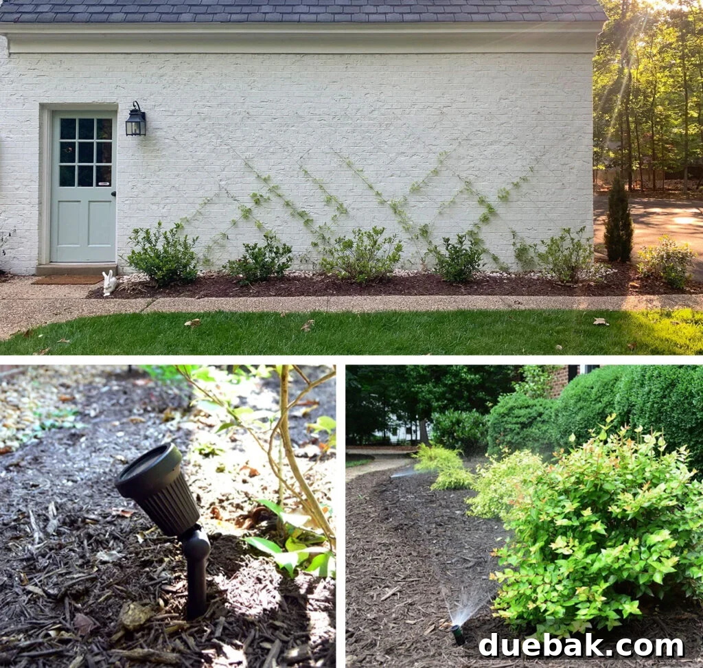 Collage of Outdoor Projects Vine Trellis Landscape Lighting Irirgation