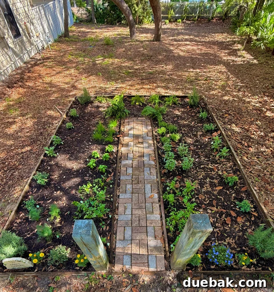 Garden Before Drip Irrigation Is Installed