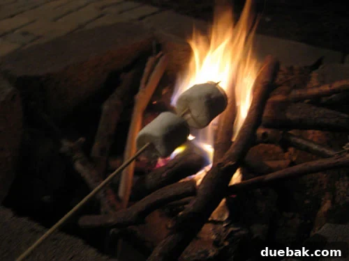outdoor-fireplace-making-smores