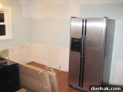 Kitchen Cabinets Damaged by Slugs? How to Restore and Protect Them 2 img 278 1