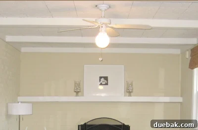 Before: plain fan with glass bulb cover