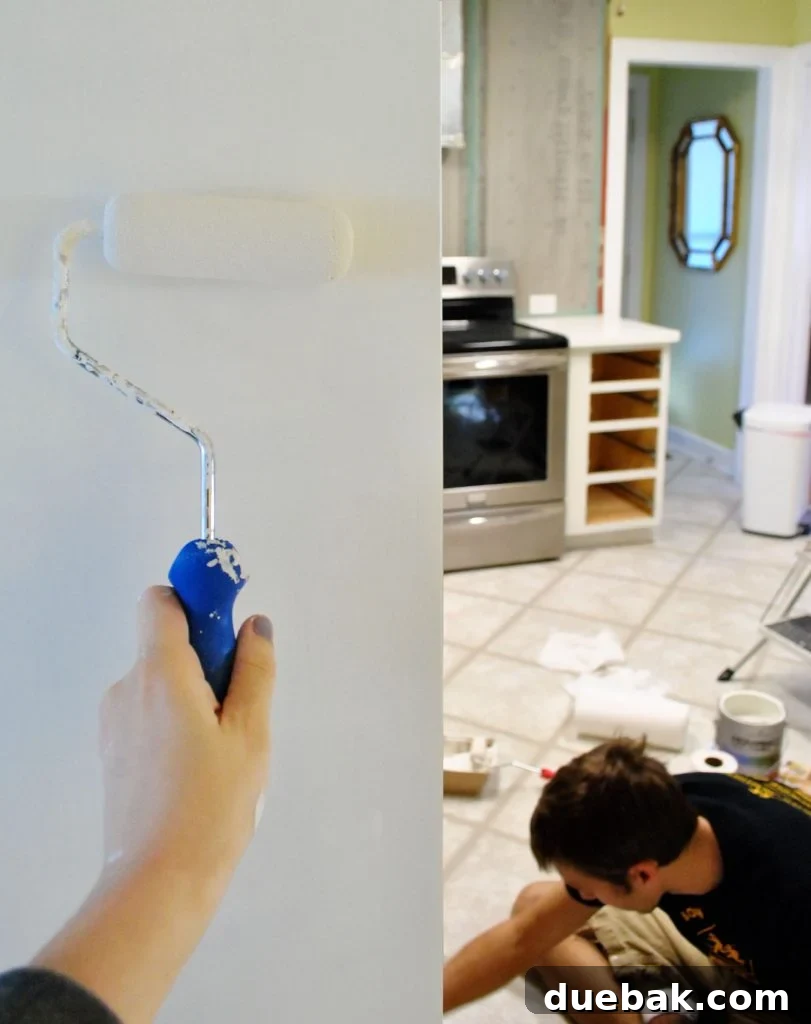 Handing Painting Cabinet Box With Foam Roller