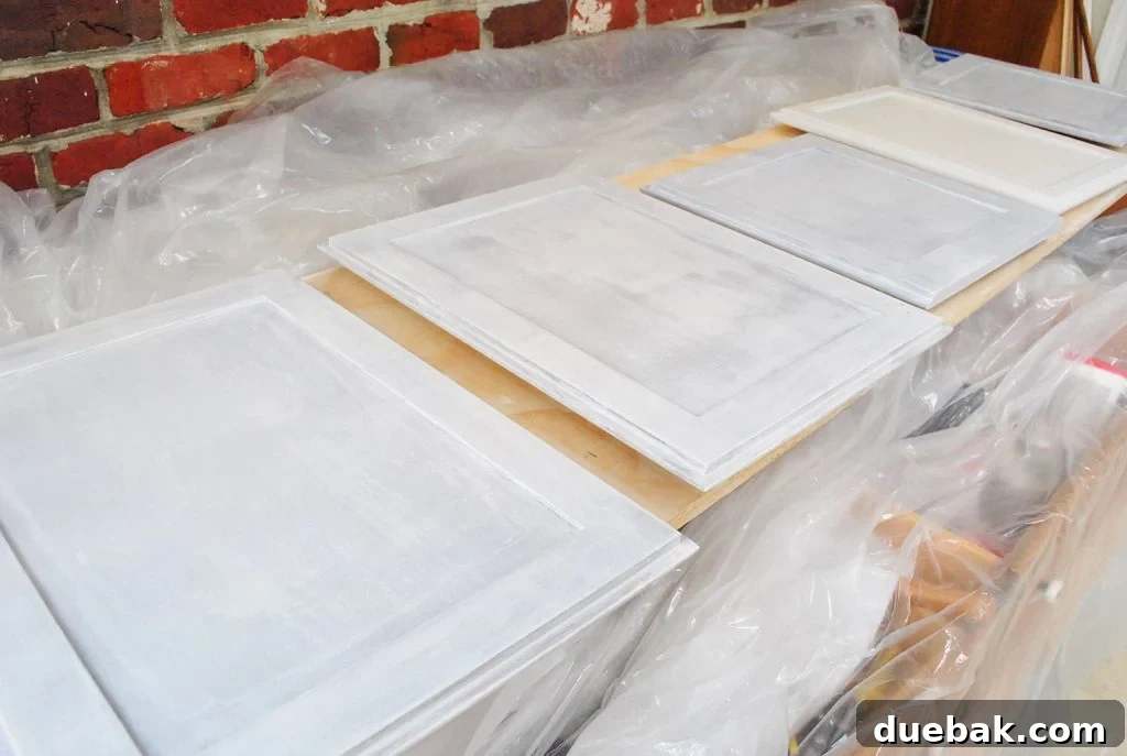 Cabinet Door Fronts Coated With Primer