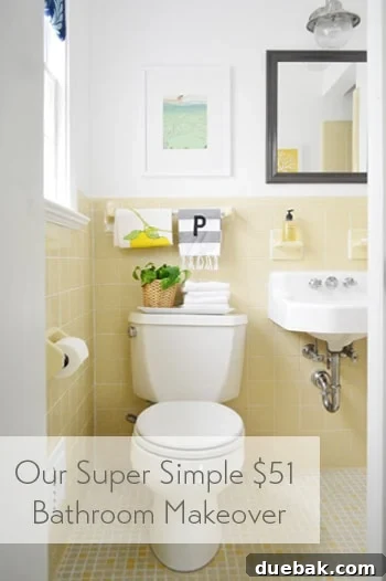 Budget Bathroom Makeover: Transforming a Toilet for $51 2 our-super-simple-cheap-bathroom-makeover