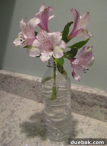 plastic-bottle-vase