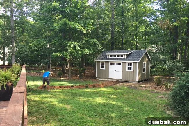 Our New Shed Is Trying to Kill Us: The Shocking Truth Revealed 2 Shed-Electrical-Digging-Trench