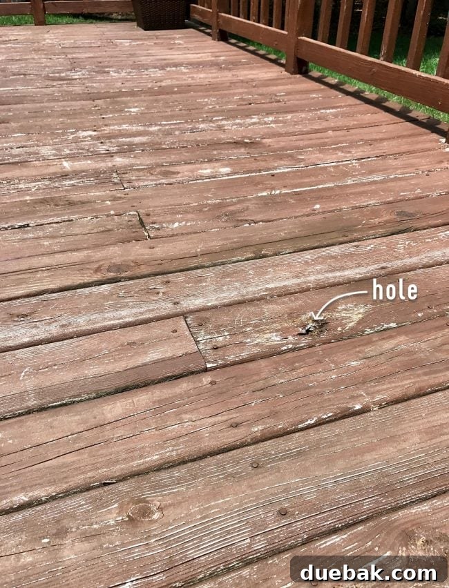 Back deck