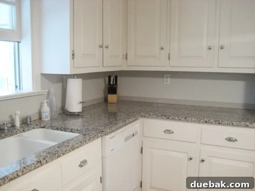 Blanc Noir granite countertop
