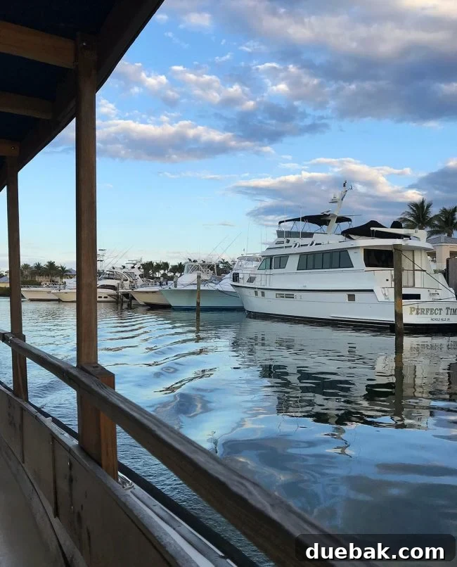 Other boats in marina at Lighthouse Point Florida