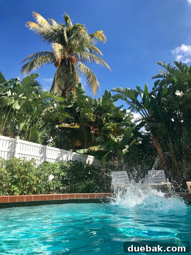 big splash in private pool with large palm tree in background