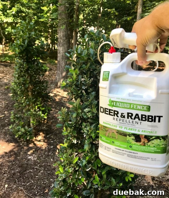 Backyard spray bottle