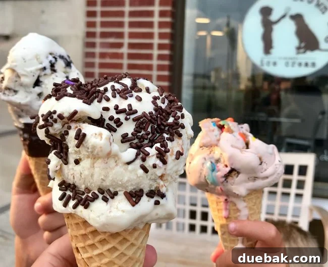 Cape Charles, VA: Your Guide to the Charming Beach Town 16 ice cream cones at brown dog ice cream in cape charles virginia