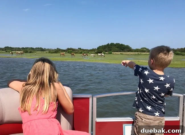Cape Charles, VA: Your Guide to the Charming Beach Town 20 chincoteague wild ponies seen from boat with children
