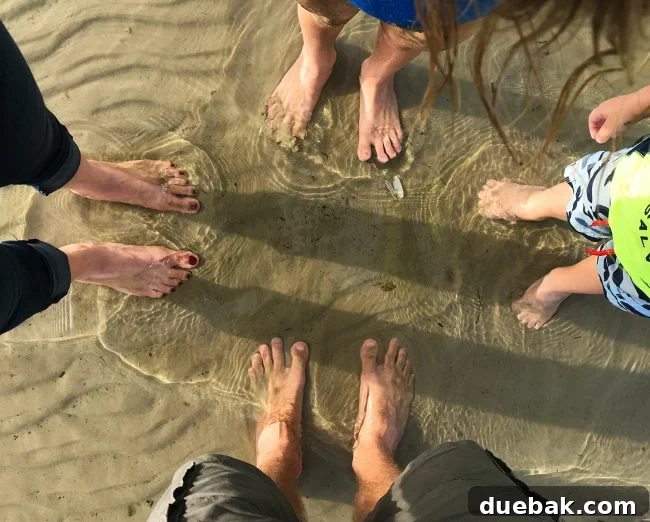 Cape Charles, VA: Your Guide to the Charming Beach Town 21 family feet in the shallow chesapeake bay water in cape charles