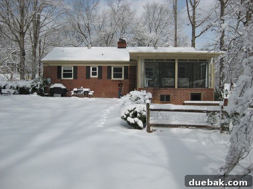 back-of-house-snowstorm1