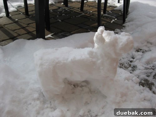 snow-dog-chiahuahua-snowman