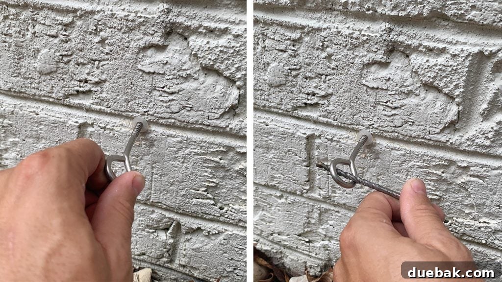 Screwing Vine Trellis Hooks Into Brick Wall