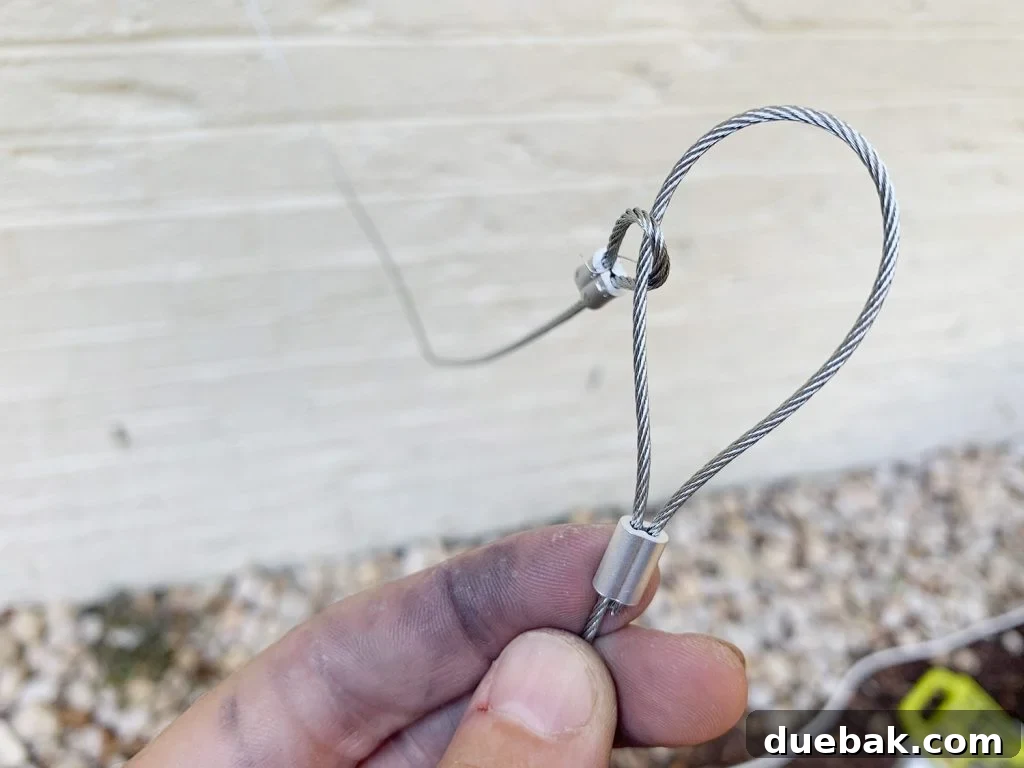 Looped Galvanizd Wire Ferrules