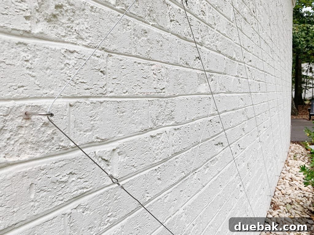 Finished Wire Trellis On White Brick Wall