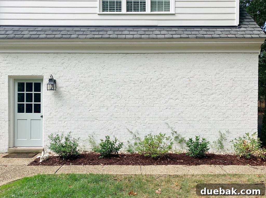 Far View Of Finished Vine Trellis On Brick Garage Wall
