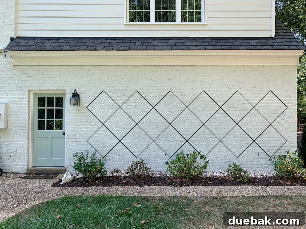 Photoshop rendering of trellis diamond pattern option 1