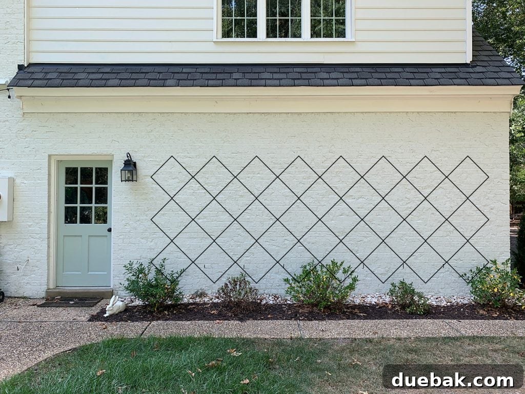 Photoshop rendering of trellis diamond pattern option 3