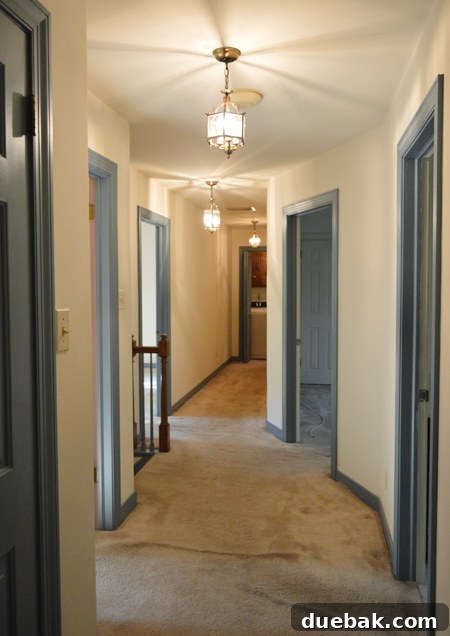 Episode 161: How Half Our Lights Went Out — What Happened Next 6 Original light fixture
