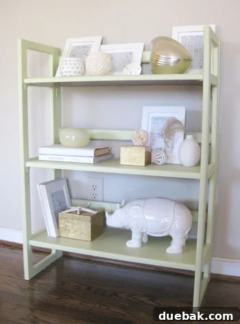 bookcase-painted-after-picture