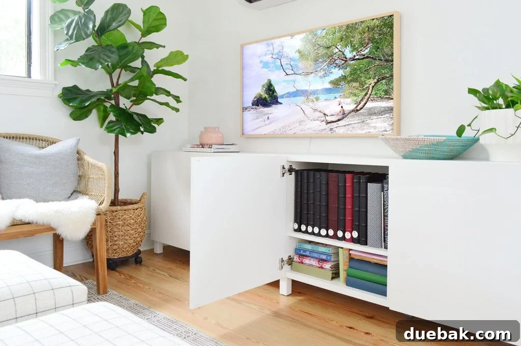 Ikea Besta Cabinet Door Open With Photo Album Storage