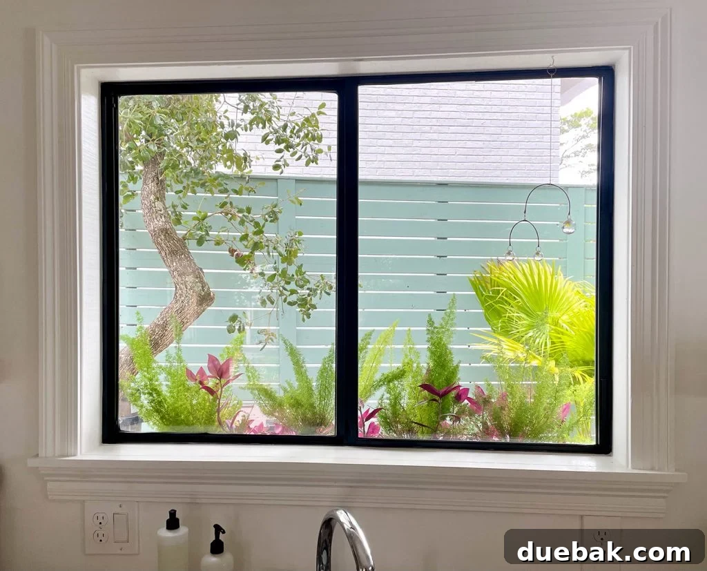 View Through Kitchen Window With Window Box And Tropical Plants