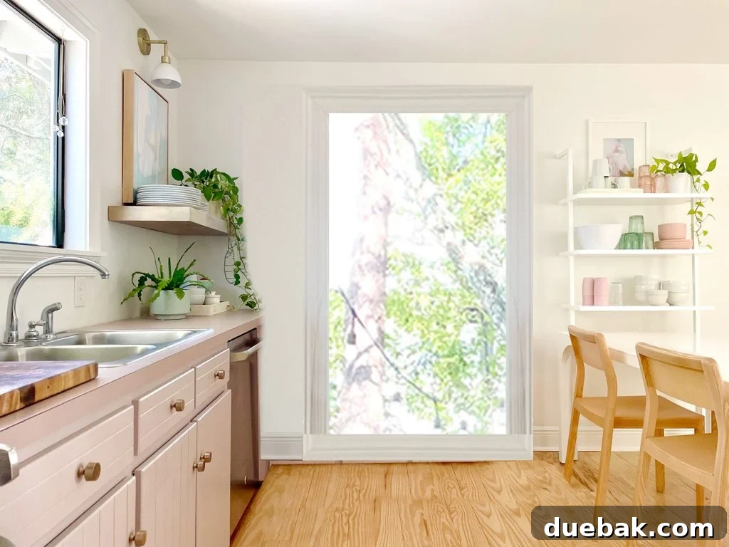 Photoshop Rendering Of Doorway In Place Of Mauve Cabinets And One Window