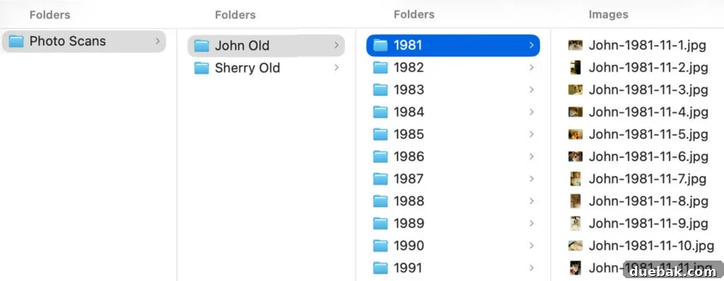 File Folder Set Up For Organizing Digital Photos