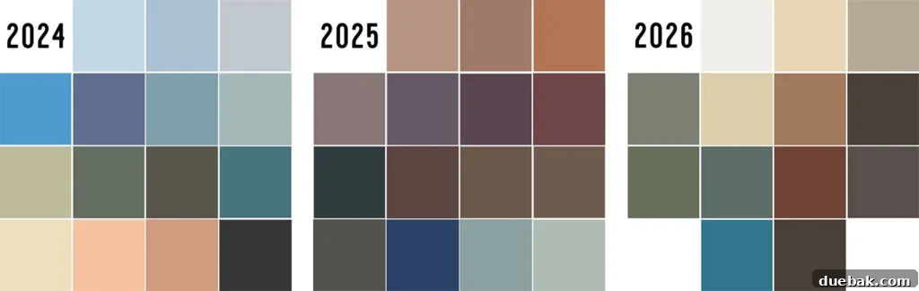 2024 2025 and 2026 Color Of The Year Snapshot