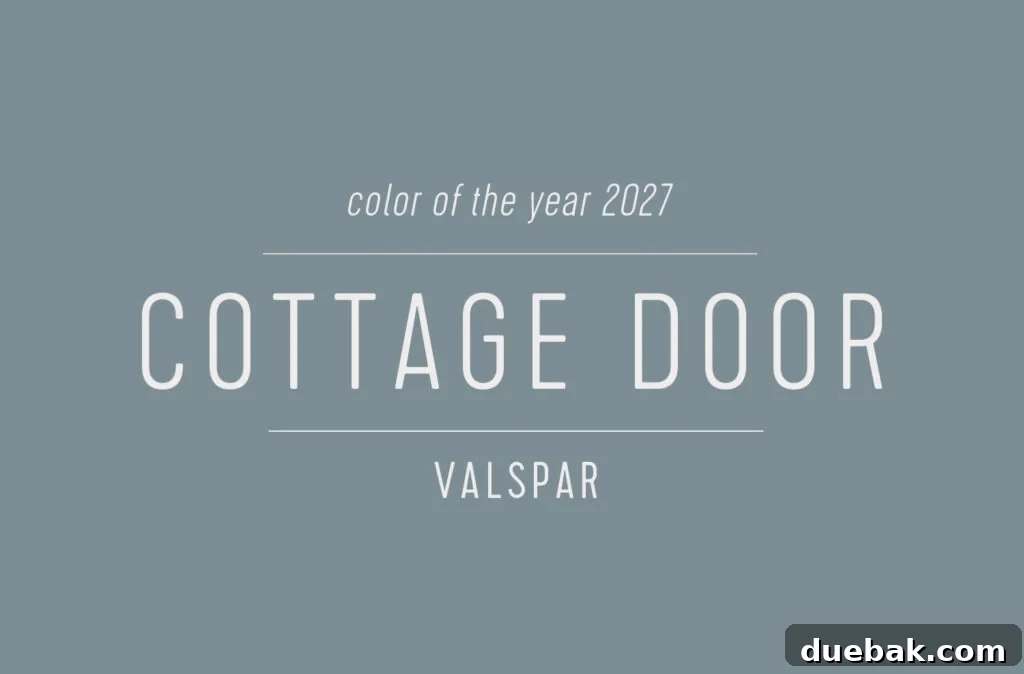 Large Swatch of Cottage Door Valspar Color of the Year 2027