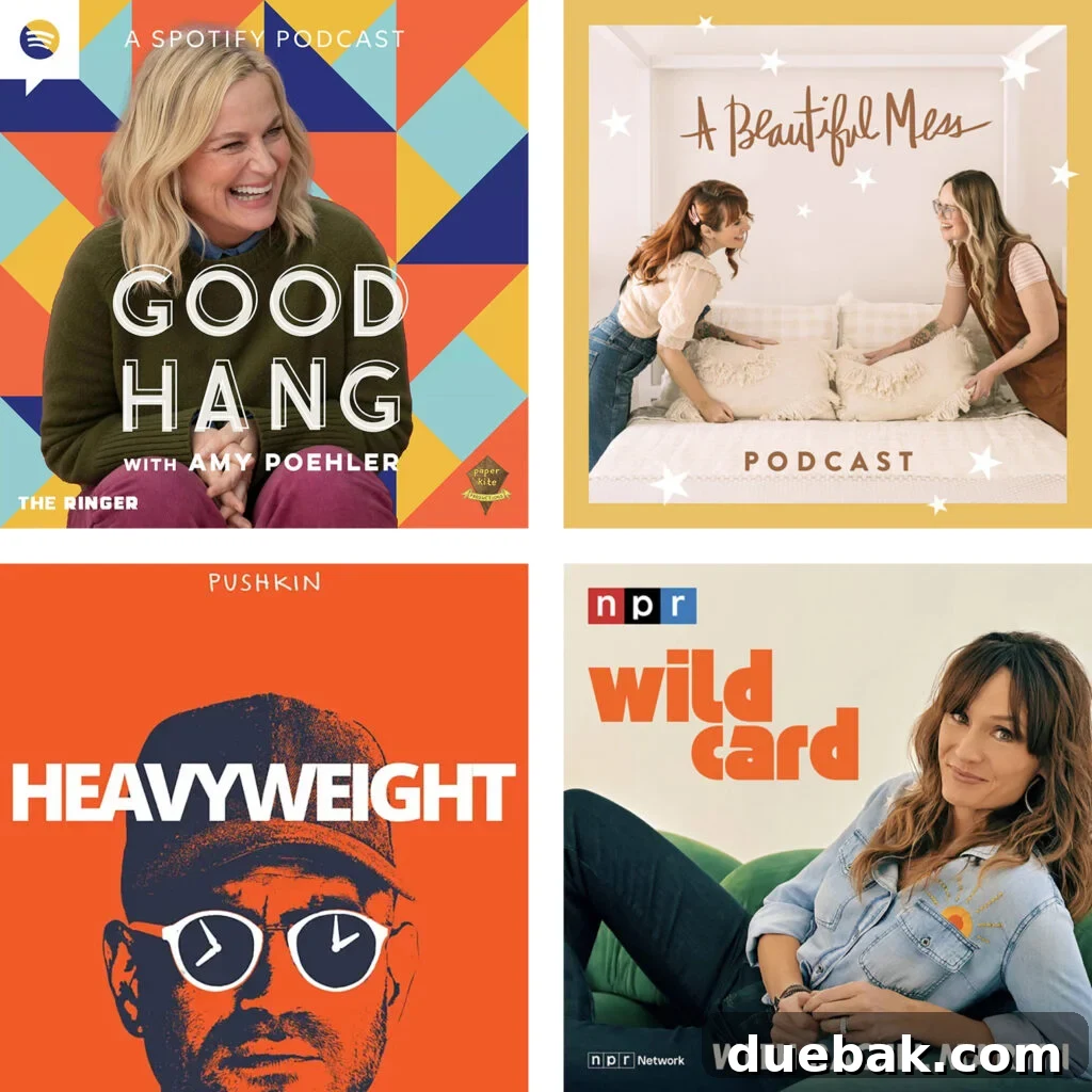 Favorite Personal And Interview Podcasts Good Hang Amy Poehler A Beautiful Mess Heavyweight Wild Card With Rachel Martin